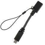 Adaptateur mini-USB vers micro-USB